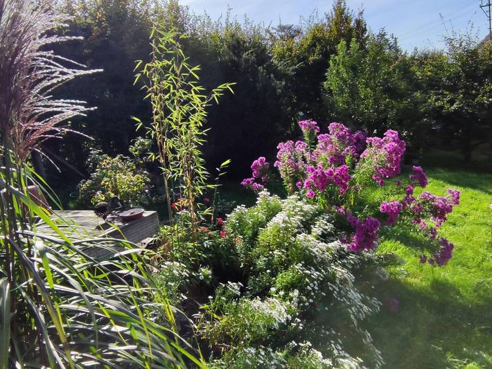 Ferienwohnung für 3 Personen, mit Terrasse und Garten im Westerwald - 4