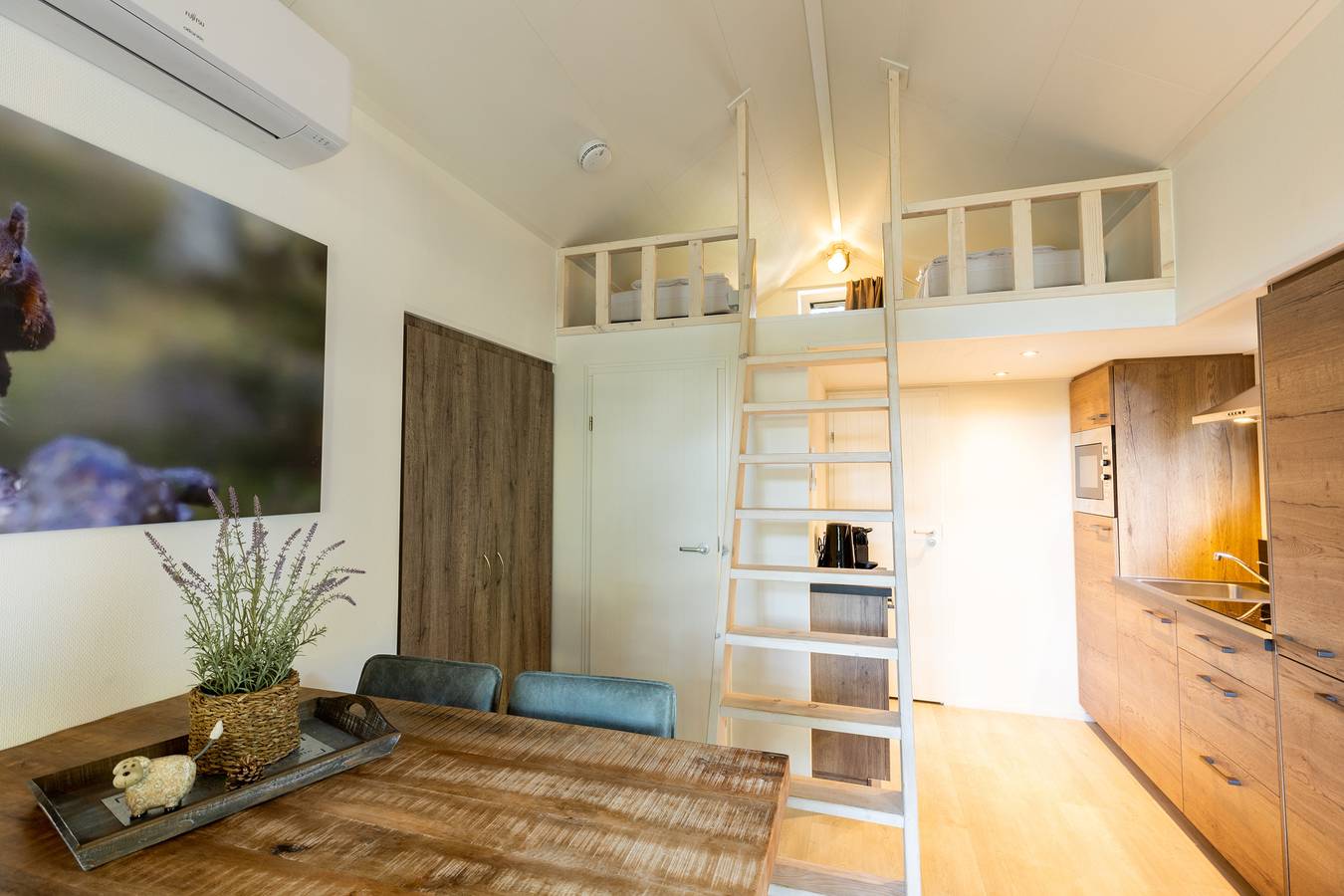 Park Berkenrhode — Tiny Lodge Eco 4 persons with Sauna in Hoge Veluwe