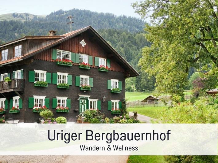 Ferienhaus für 2 Personen, mit Garten und Sauna sowie Whirlpool und Terrasse in Blaichach - 4