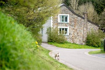 Gîte pour 6 personnes, avec jardin et vue à Marche-en-Famenne