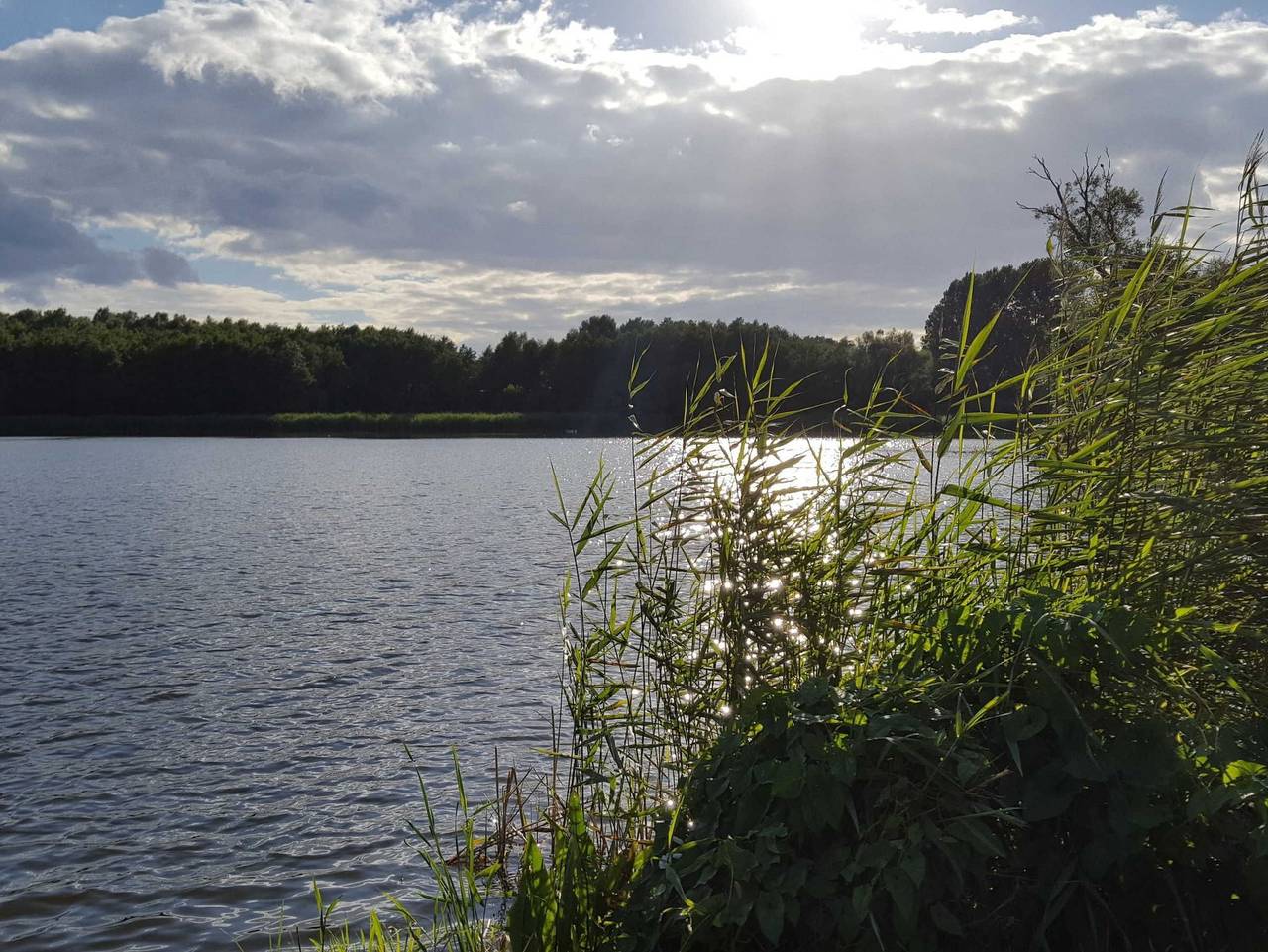 Kölp - Block`s Ferienhäuschen in Loddin, Bernsteinbäder