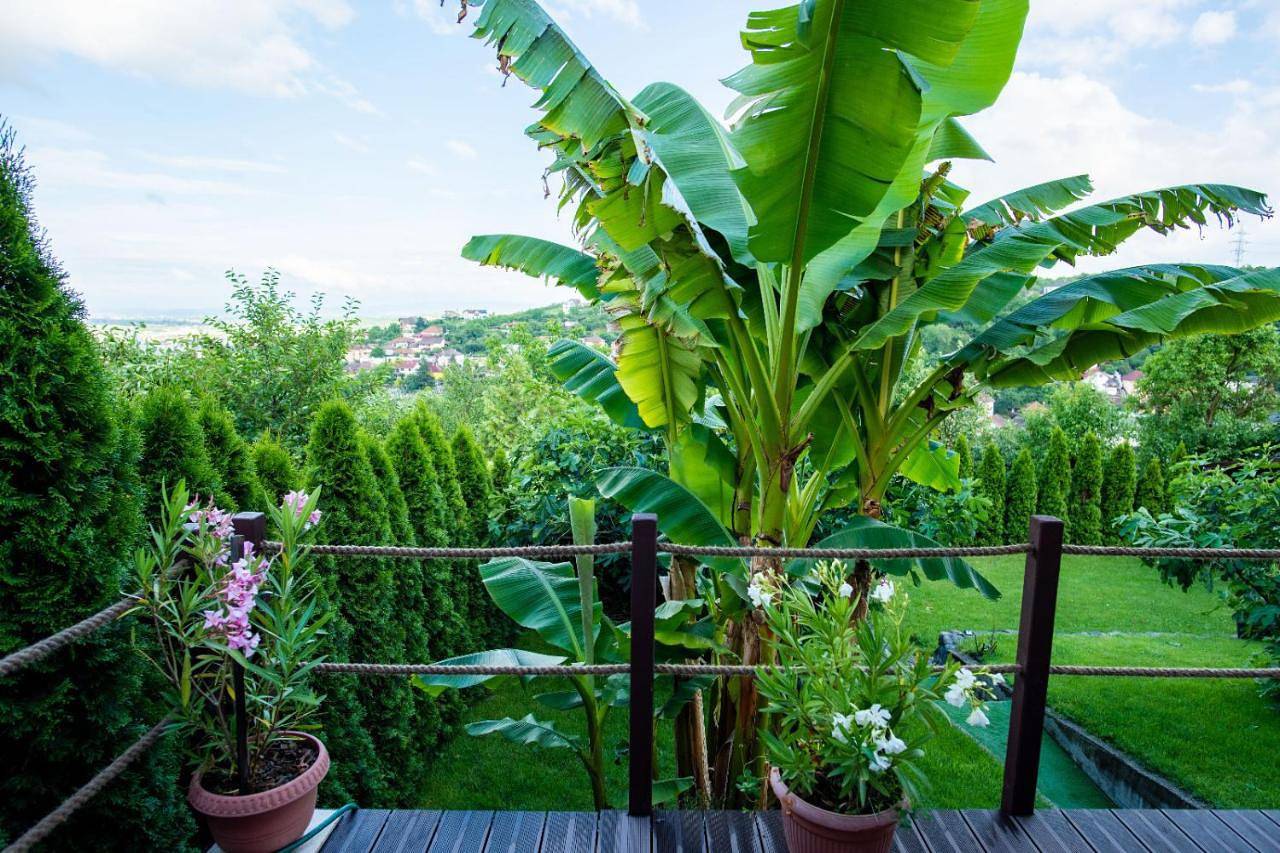Appartement de vacances entier, Double Room with Private Bathroom in Deva (Roumanie), Carpates