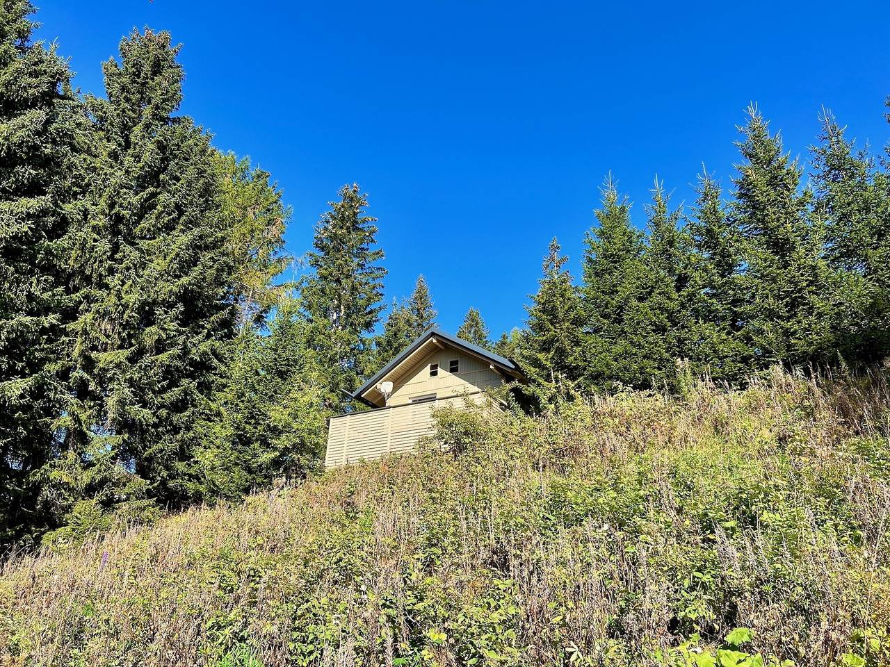 Zettersfeld-Alm in Schober group, Gaimberg