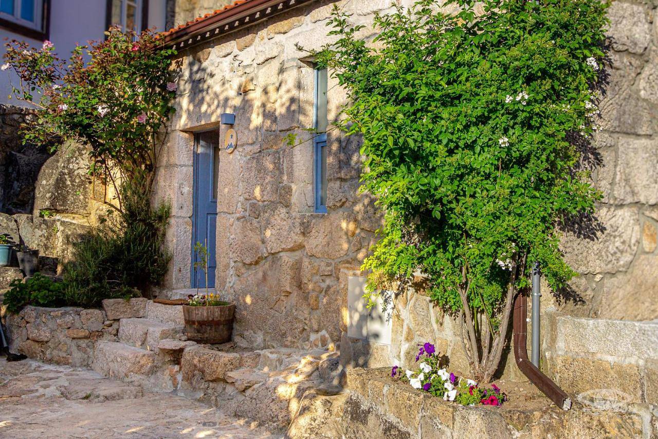 Apartamento inteiro, Cellorico de Sabores - Alojamento Local in Celorico S.Pedro, Serra da Estrela