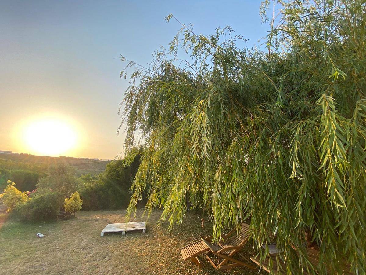 Quinta Treewindbee in Alenquer, Distrito de Lisboa