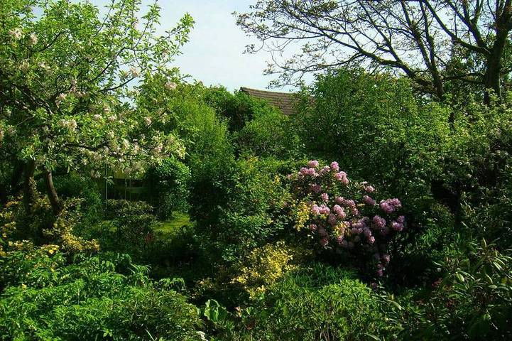 Ferienhaus für 4 Personen, mit Garten, mit Haustier in Senftenberg - 3