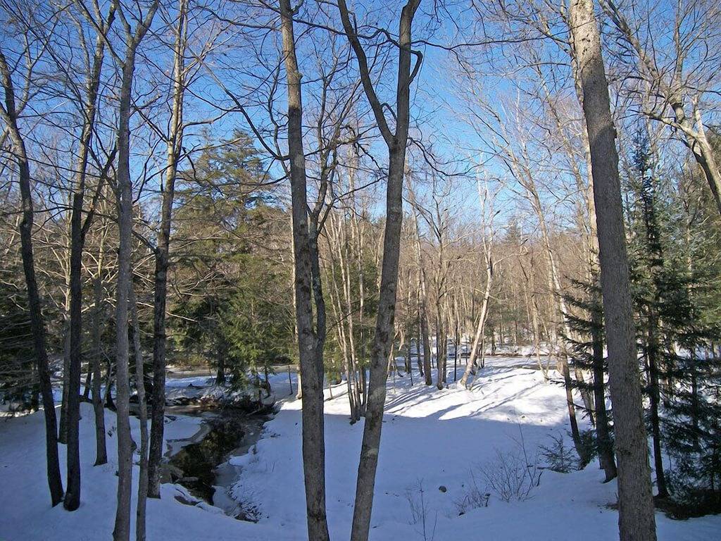 Ganze Wohnung, D0260- Verwaltet von Loon Reservation Service - Nh Mahlzeiten & Zimmer # 056365 in Woodstock (NH), Franconia Notch