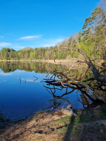 Ferienwohnung für 2 Personen, mit Balkon im Dahner Felsenland