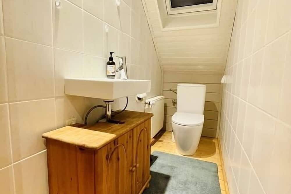 Ferienhaus \"Schleikate Ekenis\" mit Sauna und großem Garten - für Ruhe & Natur in Ekenis, Boren