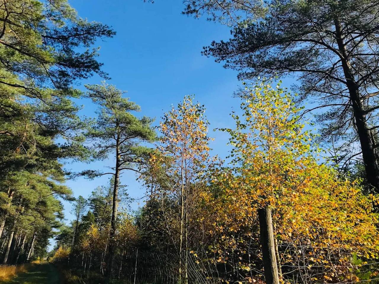 8 Personen Ferienhaus in Fjerritslev-By Traum in Thorup Strand, Jammerbugt