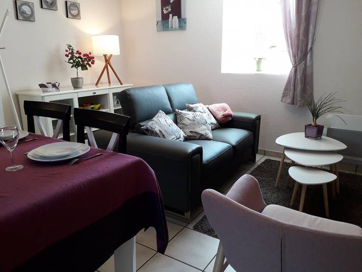 Gîte for 4 people, with garden and terrace, with pets - 1