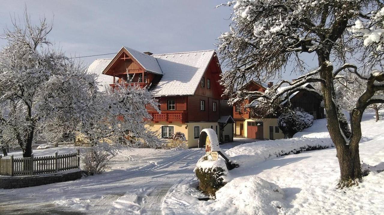 Ganze Wohnung, One-Bedroom Apartment in Haus, Schladming-Dachstein