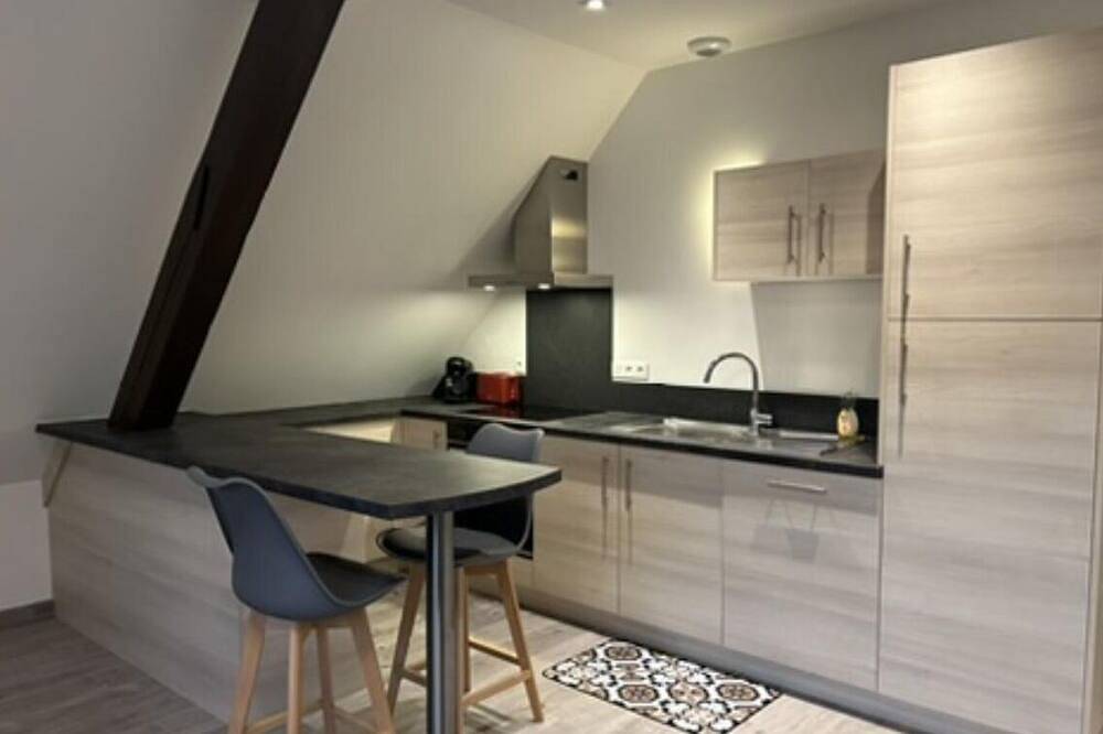 Entire apartment, Magnificent view of the castles in Ribeauvillé, Parc naturel régional des Ballons des Vosges