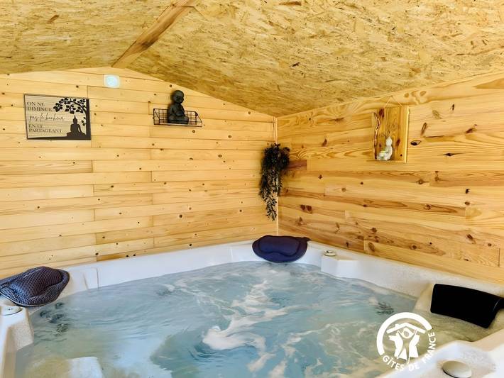 Gîte pour 6 personnes, avec jardin et jacuzzi à Trèbes - 3