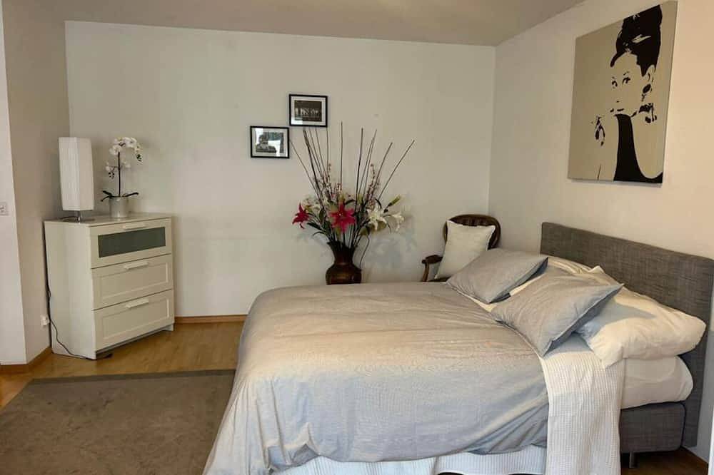 Ganze Wohnung, Basel Schweiz Apartment 302 in Basel, Aargau-Basel