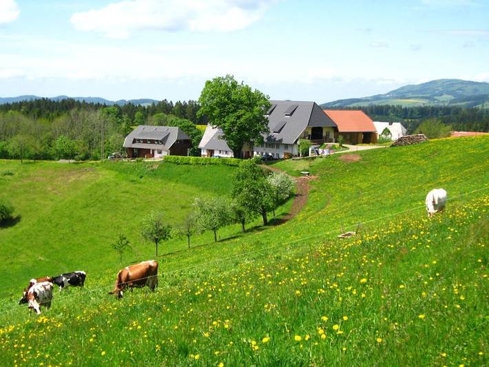 Ferienhaus für 4 Personen, mit Garten - 1