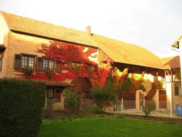 Gîte pour 9 personnes, avec terrasse et vue à Sarre-Union