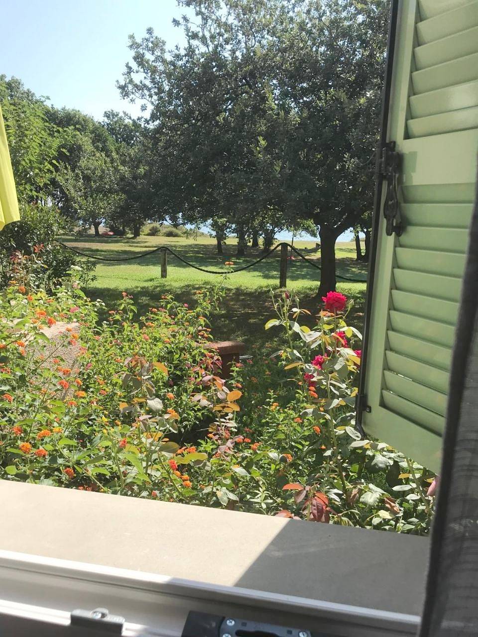 Appartement entier, One-Bedroom Apartment in Poggio-Mezzana, Arrondissement de Corte