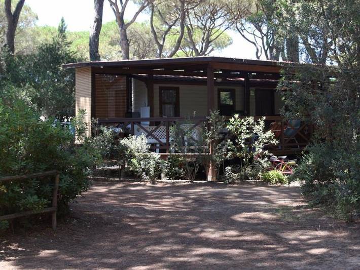 Camping für 6 Personen, mit Haustier in der Maremma - 2