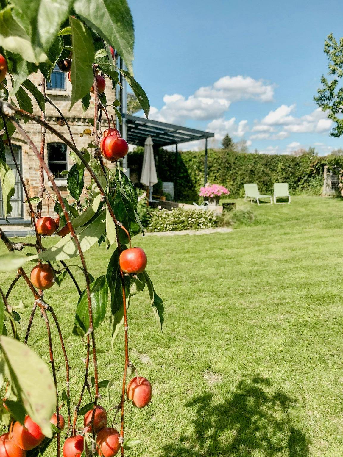 Ganze Wohnung, Scheunenidylle mit Blick über weite Felder in Naturschutzgebiet Nuthe-Nieplitz-Niederung, Mittelmark