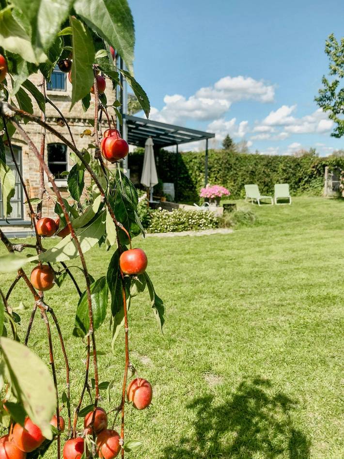 Ganze Wohnung, Scheunenidylle mit Blick über weite Felder in Zauchwitz, Naturschutzgebiet Nuthe-Nieplitz-Niederung