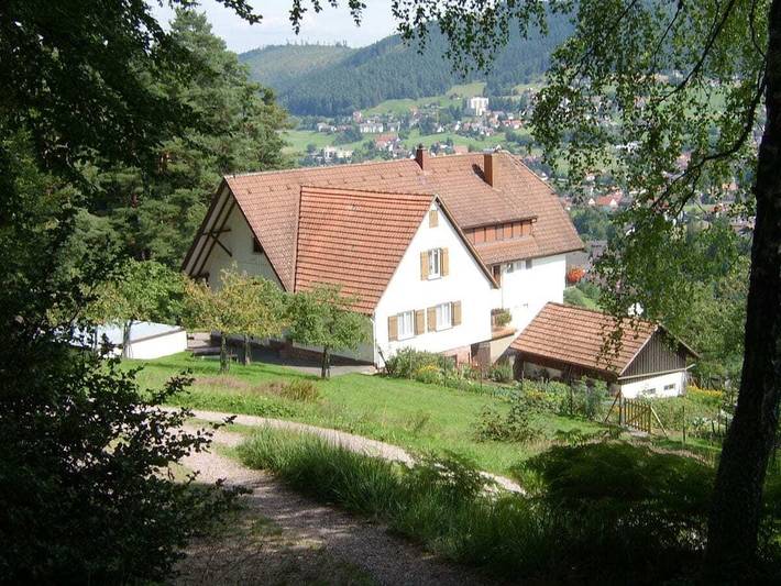 Ferienhaus für 4 Personen, mit Balkon in Nationalpark Schwarzwald - 3