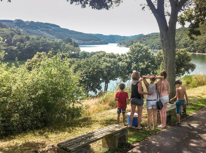 Zelt für 5 Personen, mit Terrasse und Pool sowie Garten in Rheinland-Pfalz - 3