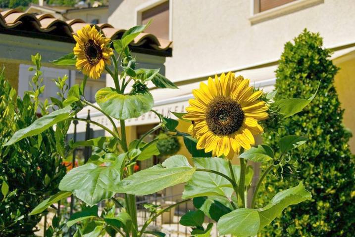 Location de vacances pour 3 personnes, avec jardin et terrasse à Scanno - 3