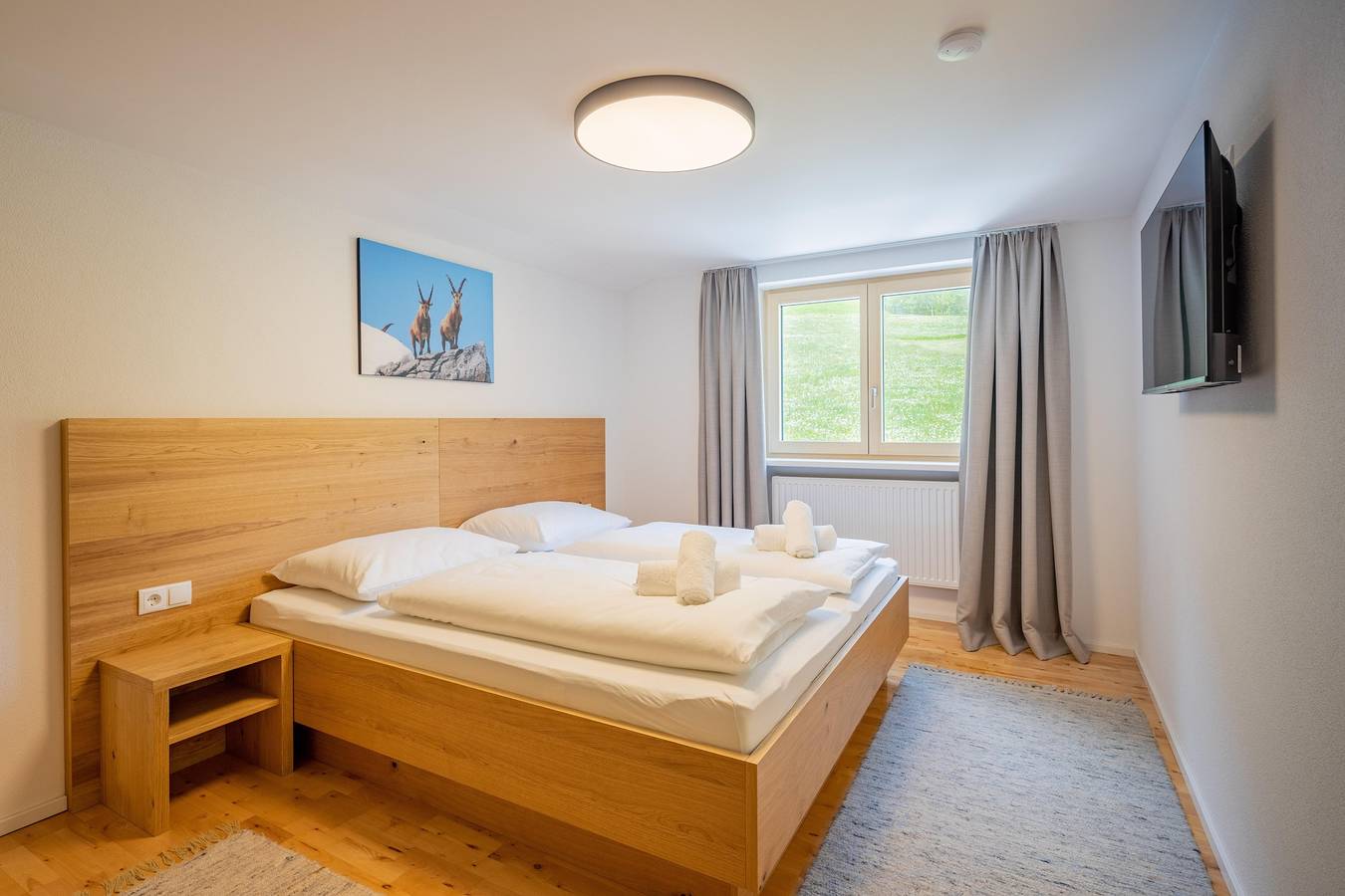 Geheel vakantieappartement, Appartement, douche, 1 slaapkamer in Rätikon mountain range, Brand