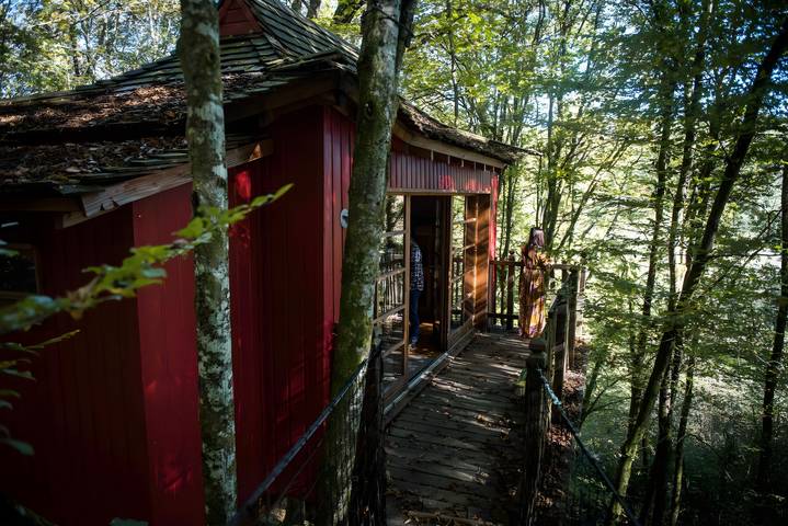 Cabane en bois pour 5 personnes, avec jardin, animaux acceptés en Dordogne - 4