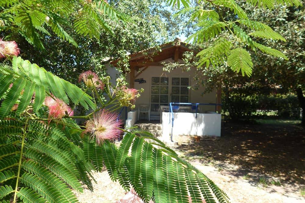 Maison Canaulaise de Caractere a 100 Mètres du lac in Lac de Lacanau, Lacanau