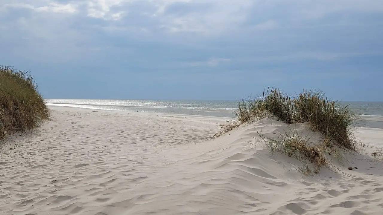 Ferienhaus für 8 Personen (118 m²) in Blåvand in Ho, Varde (Danmark)