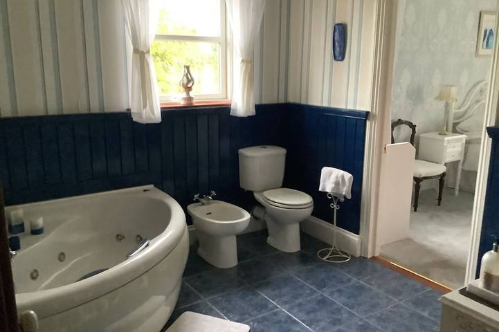 Location de vacances pour 8 personnes, avec terrasse et jardin à Trim - 4