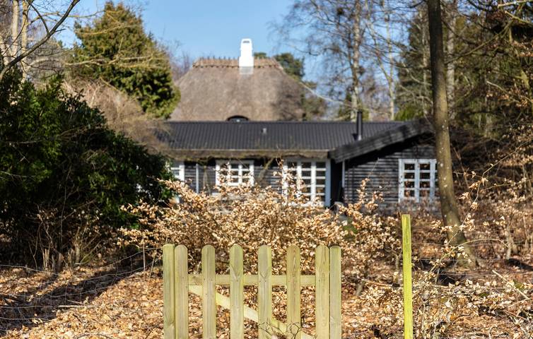 Ferienhaus für 6 Personen, mit Garten und Terrasse sowie Sauna in Tisvilde - 3