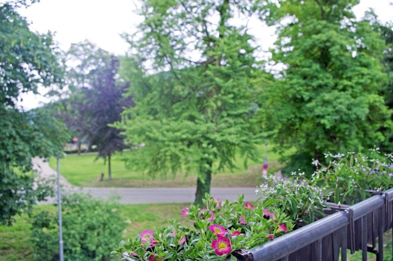 Ganze Wohnung, Ferien-Wohnung am Menzer-Park in Neckargemünd, Kurpfalz