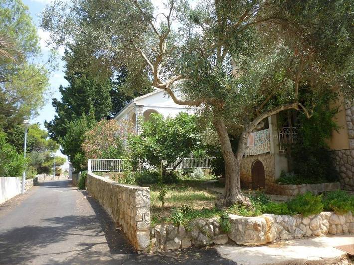 Holiday apartment for 3 people, with pool and balcony/terrace, with pets - 1
