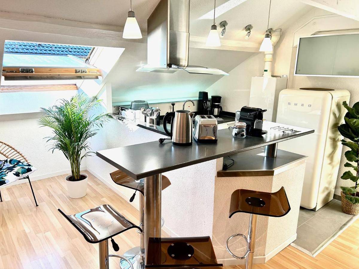 Appartement entier, One-Bedroom Apartment in Le Thillot, Région d'Épinal