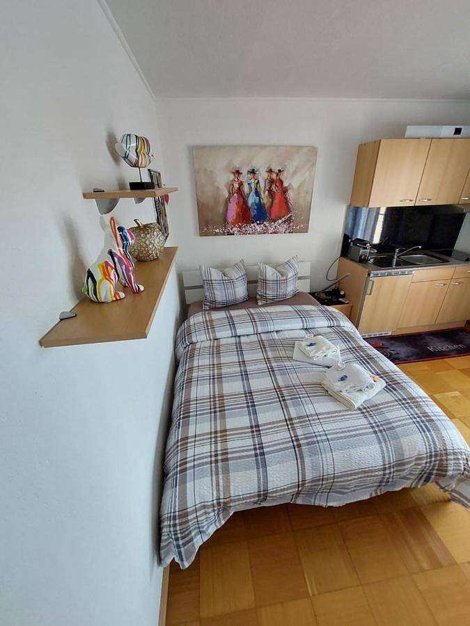 Appartement entier, Joli studio avec terrasse et vue Pour Non Fumeurs in Belmont-sur-Lausanne, Lac Léman