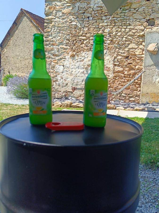 Gîte pour 4 personnes, avec terrasse ainsi que jardin et vue à Magnac-Laval - 2