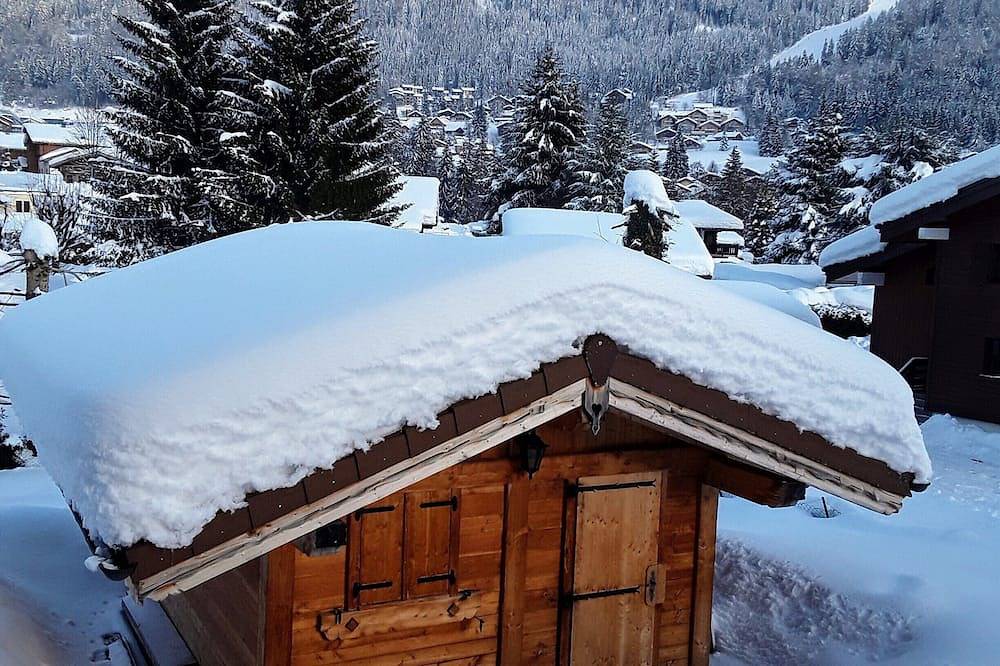Apartamento entero, Estudio tipo chalet con terraza in Les Carroz, Arâches-la-Frasse