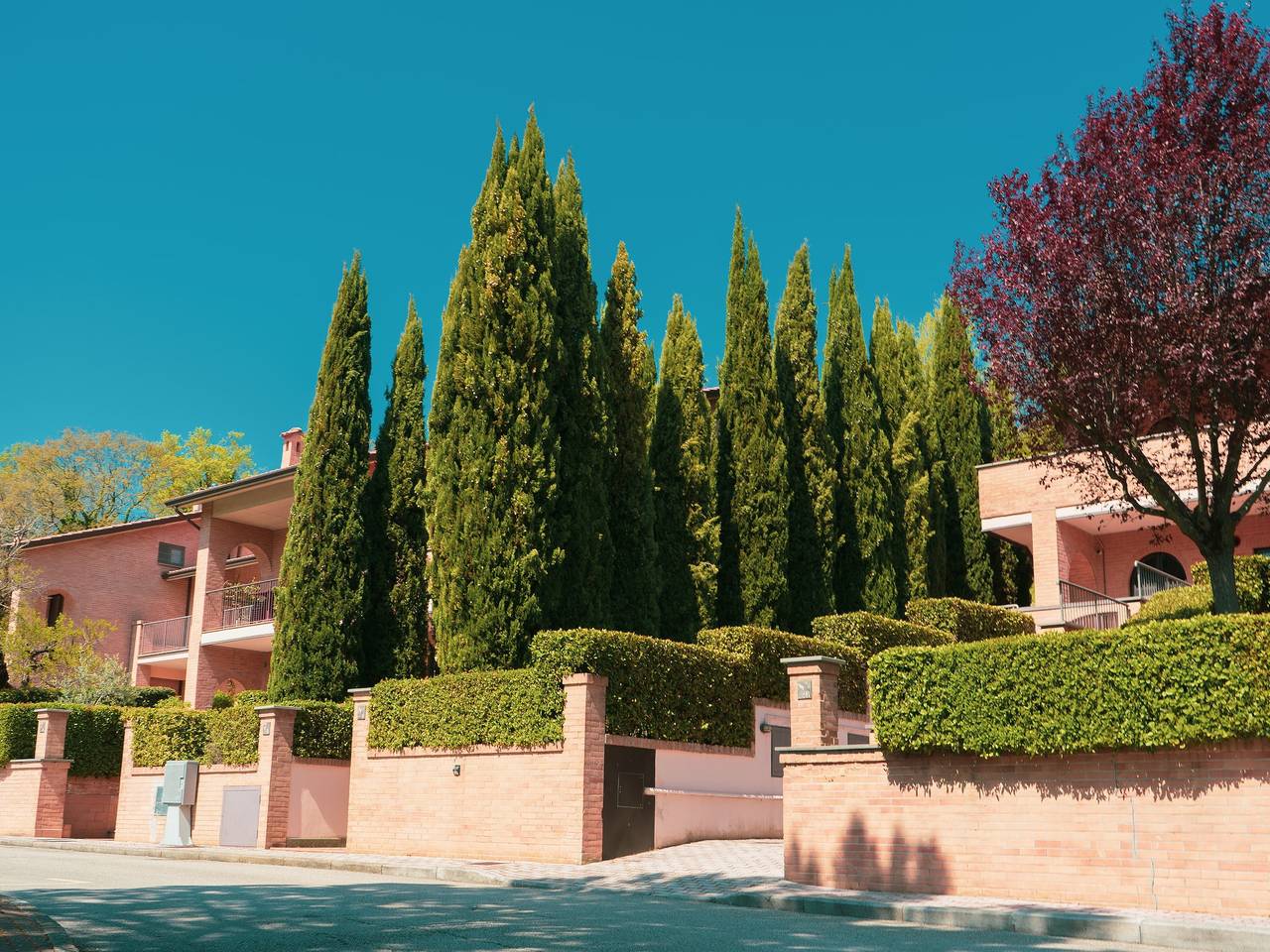 Casa vacanze ad Assisi Monte Subasio in Assisi, Perugia e dintorni