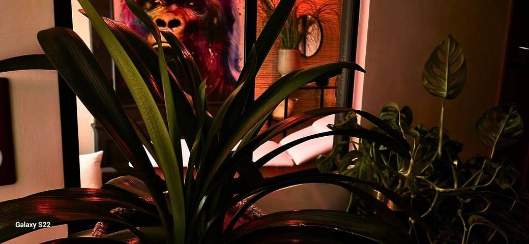 Location de vacances pour 2 personnes, avec terrasse à Lavaur - 3