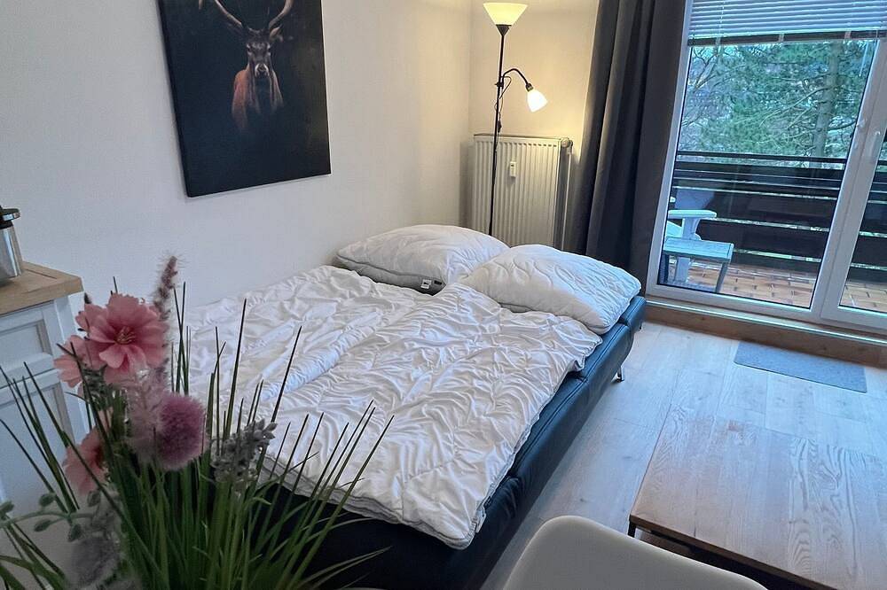 Ganze Wohnung, Ferienwohnung/App. für 4 Gäste mit 46m² in Hahnenklee in Hahnenklee, Goslar