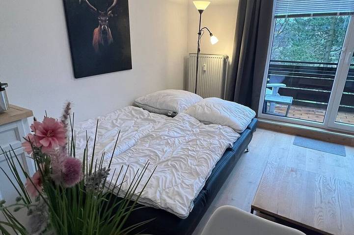 Ganze Wohnung, Ferienwohnung/App. für 4 Gäste mit 46m² in Hahnenklee in Hahnenklee, Goslar