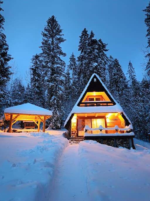 Domek letniskowy dla 7 osób, z sauna i ogród oraz widok w Nowy Targ