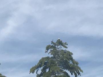 Log Cabin for 4 People in Poultney, Vermont, Photo 2