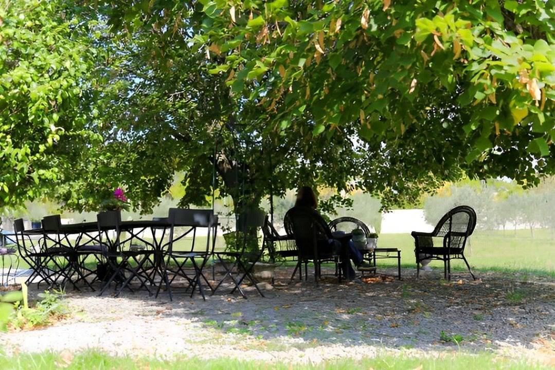 Les Tilleuls d'Elisée - Les Micocouliers in Vaison-la-Romaine, Parc naturel régional du Mont-Ventoux