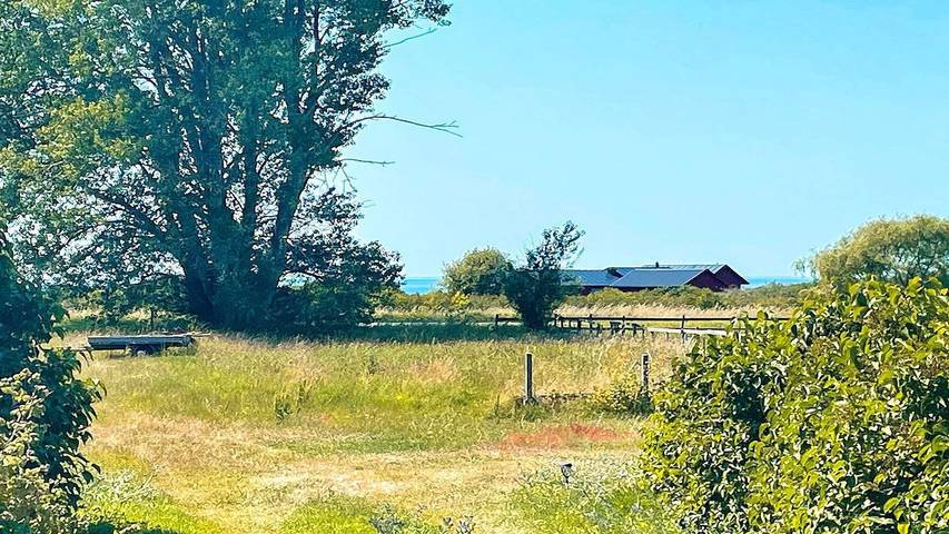 Ferienhaus für 5 Personen, mit Haustier in Gotland - 3