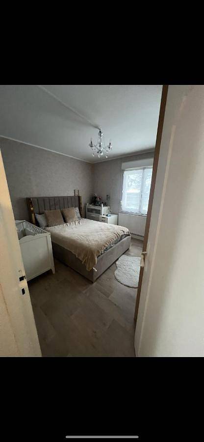 Gîte pour 4 personnes, avec terrasse et vue à Florange - 3