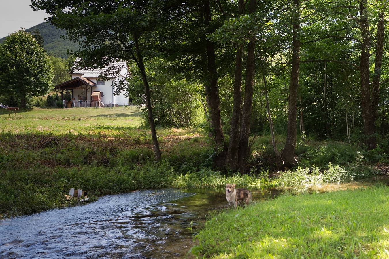 Plitvice Lakes House By The Creek in Rudanovac, Plitvicer Seen